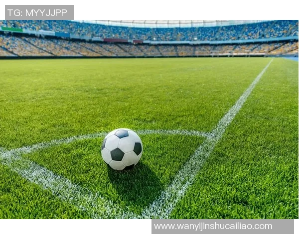 从球场到生活：揭秘足球巨星们的真实人生与背后故事