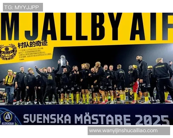 瑞典足球巨星带领国家队冲击世界杯荣耀背后的故事与奋斗历程